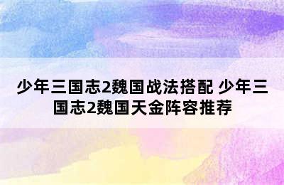 少年三国志2魏国战法搭配 少年三国志2魏国天金阵容推荐